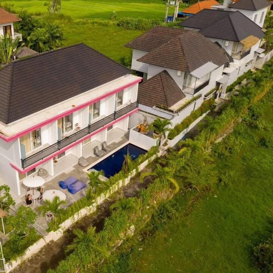 Margarita Surf Hostel Canggu المظهر الخارجي الصورة
