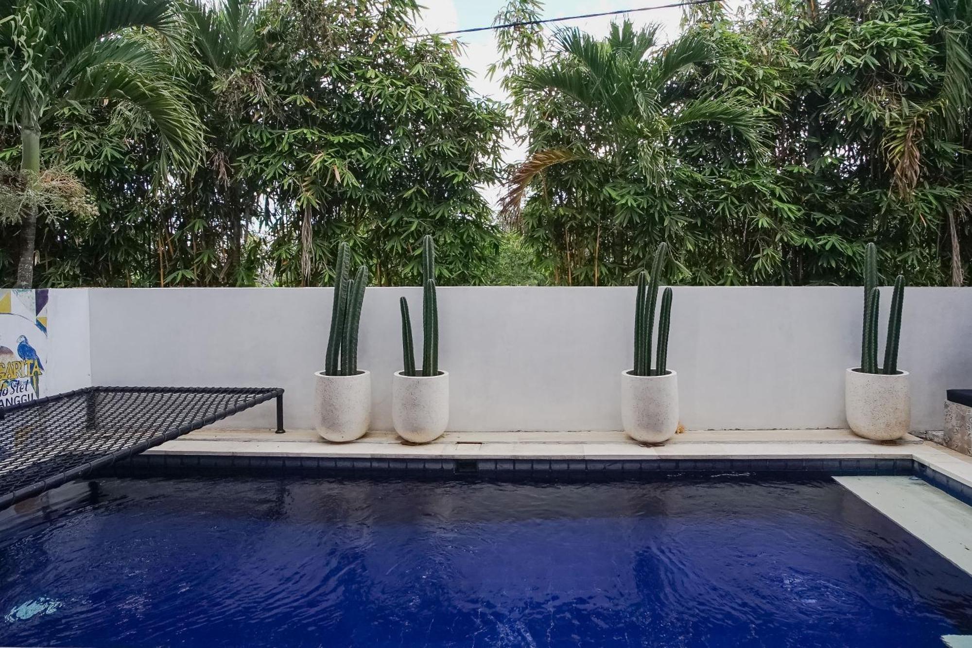 Margarita Surf Hostel Canggu المظهر الخارجي الصورة